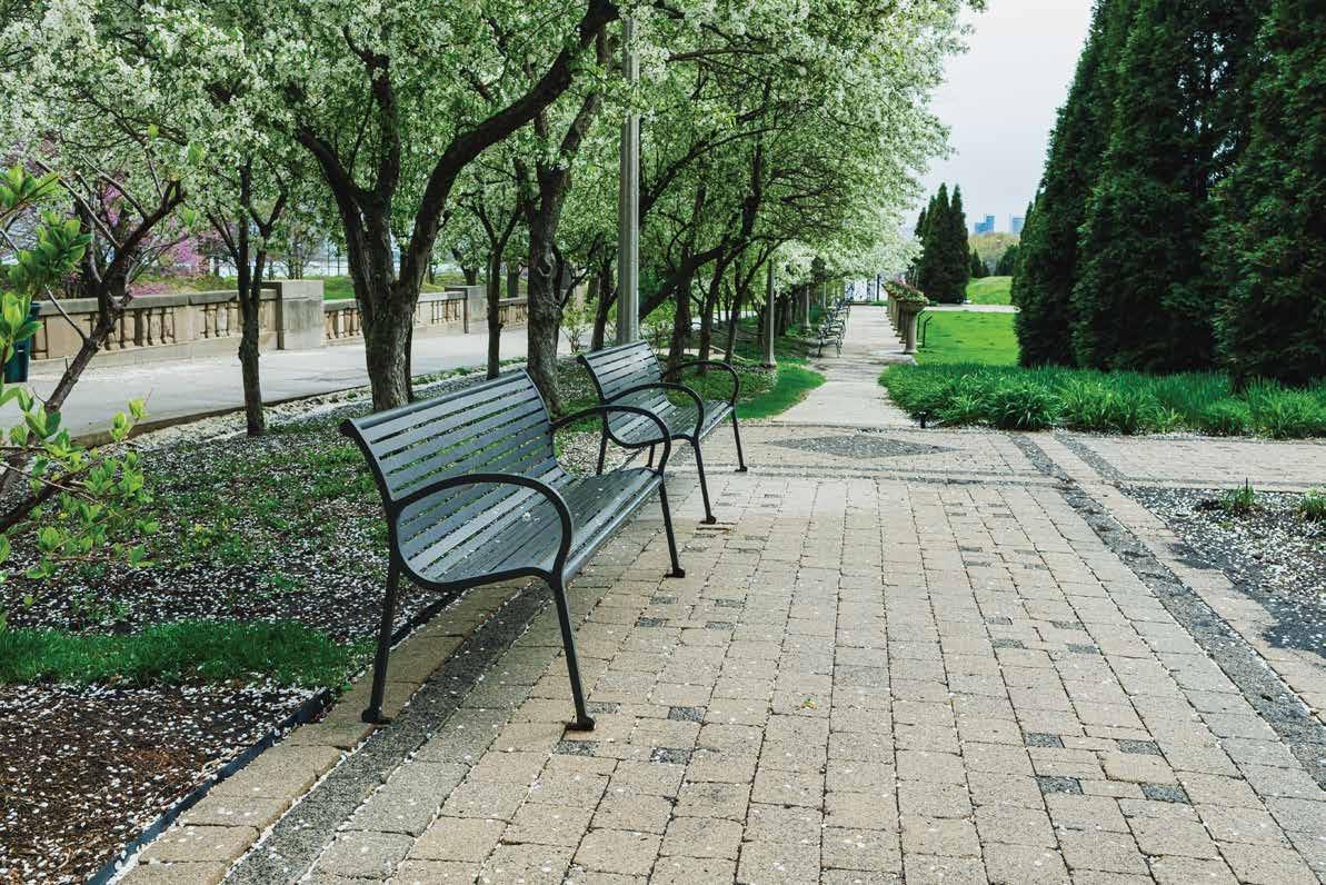 Shaded landscaped walkway