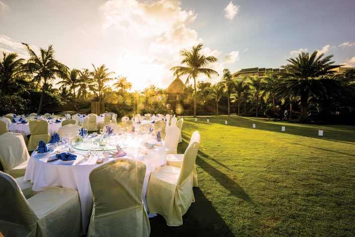 Outdoor celebration lawn