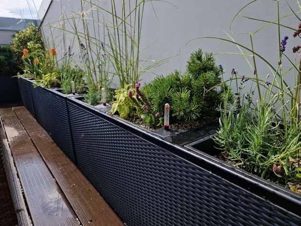 Planted balcony and green edge